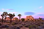 Palm Springs and Joshua Tree National Park Audio Tour Bundle