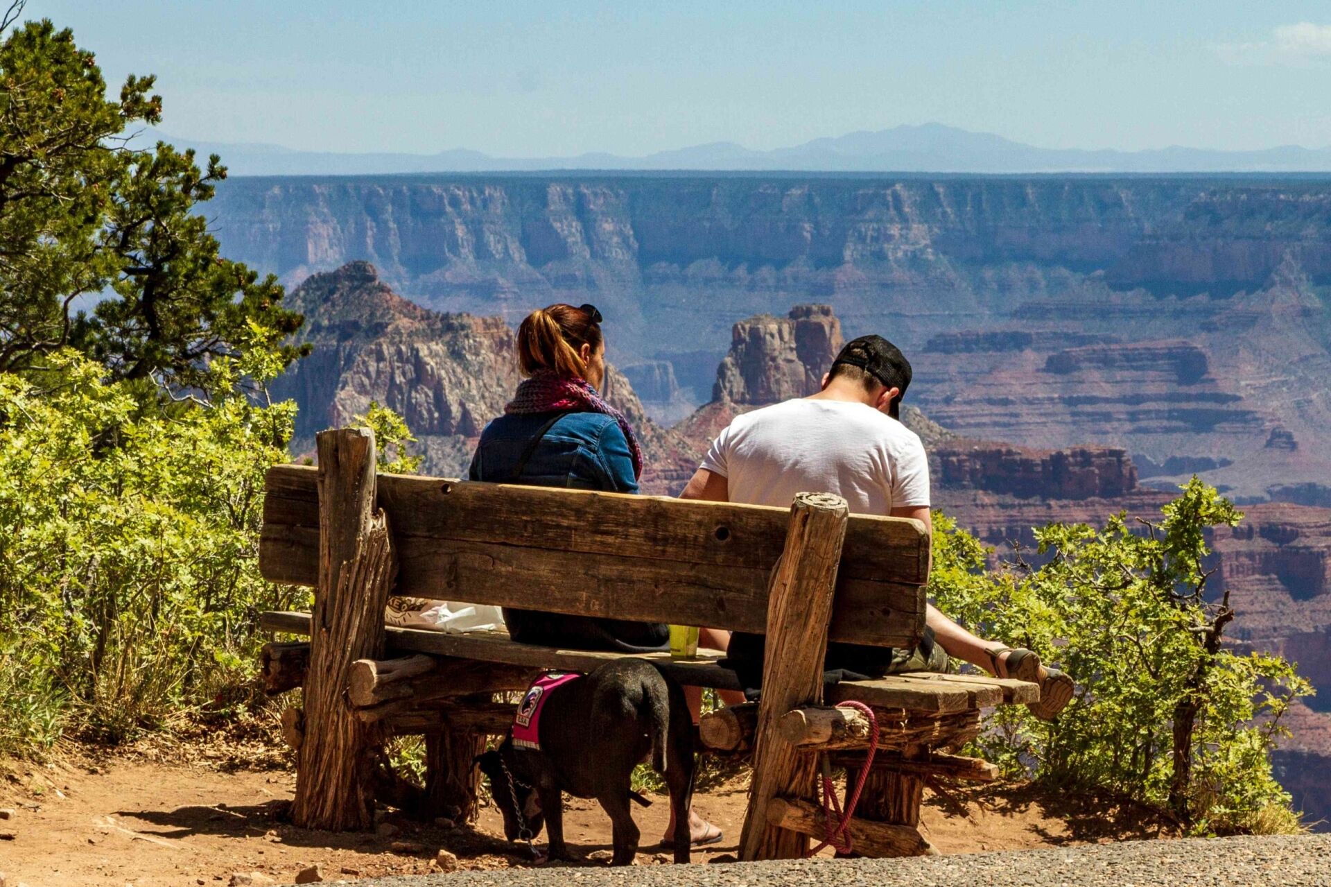 Are dogs allowed at the Grand Canyon?