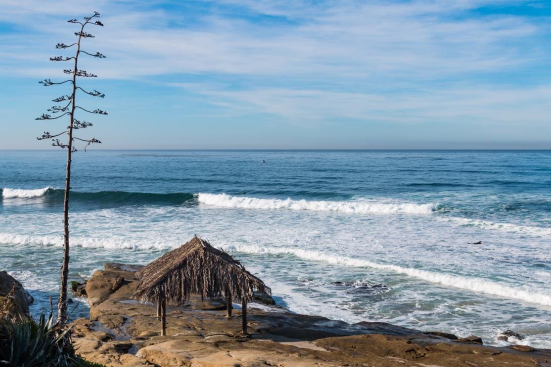 What Is There to Do at La Jolla?