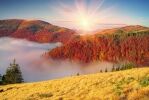 Great Smoky, Cades Cove, Shenandoah & Blue Ridge Parkway Self-Guided Driving Audio Tours Bundle
